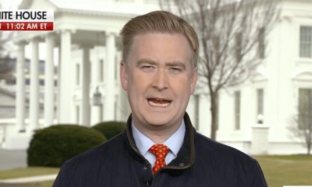 Fox News senior White House correspondent warns DOGE wants to ‘reboot the whole system’